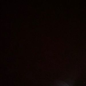 Meet your Posher, Brittney